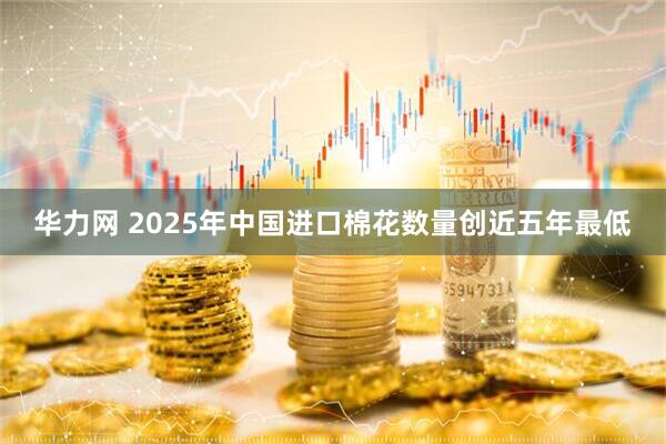 华力网 2025年中国进口棉花数量创近五年最低