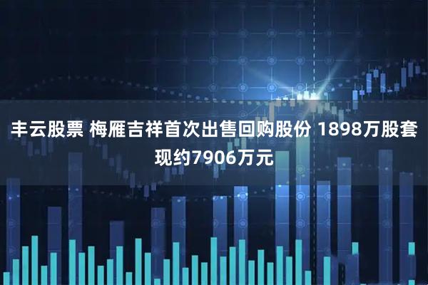 丰云股票 梅雁吉祥首次出售回购股份 1898万股套现约7906万元