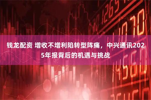 钱龙配资 增收不增利陷转型阵痛，中兴通讯2025年报背后的机遇与挑战