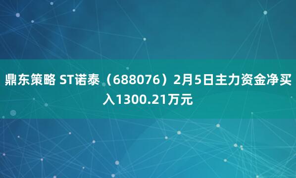鼎东策略 ST诺泰（688076）2月5日主力资金净买入1300.21万元