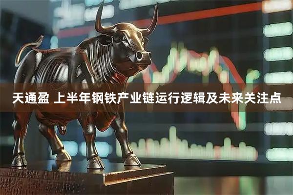 天通盈 上半年钢铁产业链运行逻辑及未来关注点