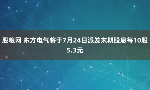 股粮网 东方电气将于7月24日派发末期股息每10股5.3元
