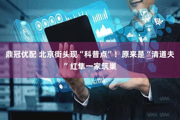 鼎冠优配 北京街头现“科普点”！原来是“清道夫”红隼一家筑巢