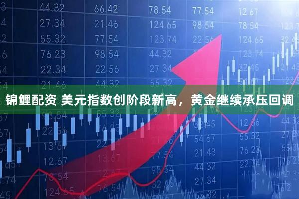 锦鲤配资 美元指数创阶段新高，黄金继续承压回调